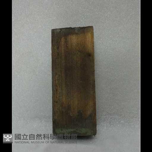 木構建藏品圖，第1張