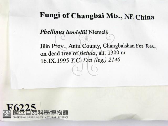 登錄號:F0006225藏品圖，第2張