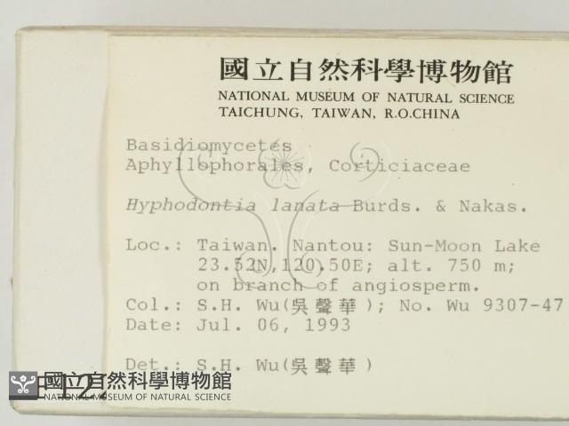 登錄號:F0001225藏品圖，第2張