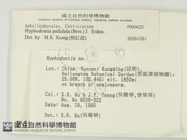 登錄號:F0004225藏品圖，第2張