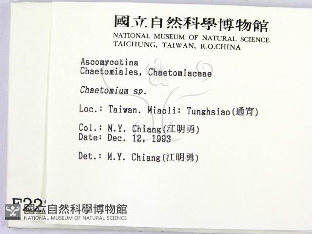 登錄號:F0002225藏品圖，第2張