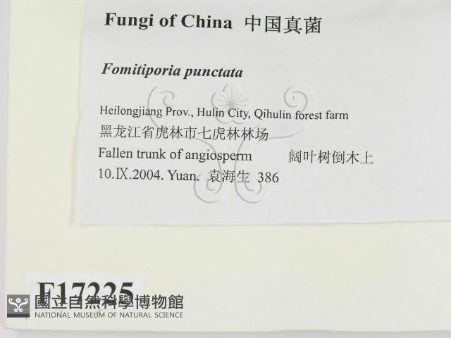 登錄號:F0017225藏品圖，第2張