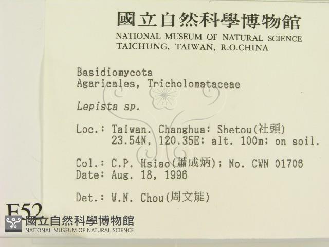 登錄號:F0005225藏品圖，第2張