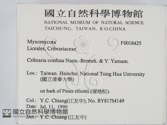 登錄號:F0018425藏品圖，第2張
