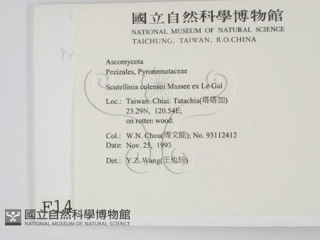 登錄號:F0001425藏品圖，第2張