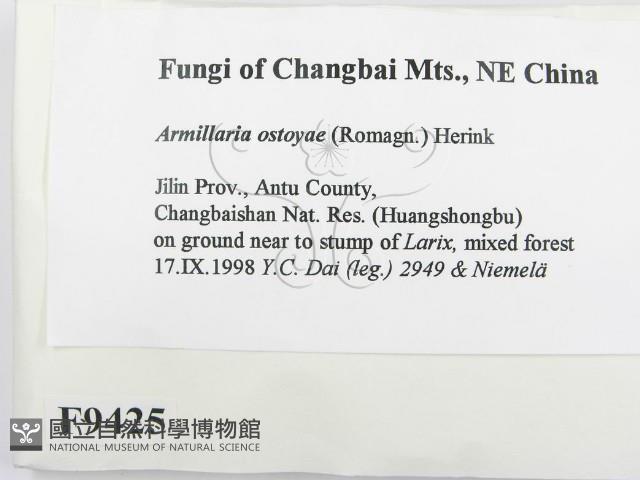 登錄號:F0009425藏品圖，第2張
