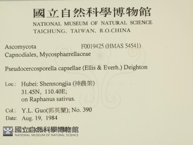 登錄號:F0019425藏品圖，第2張