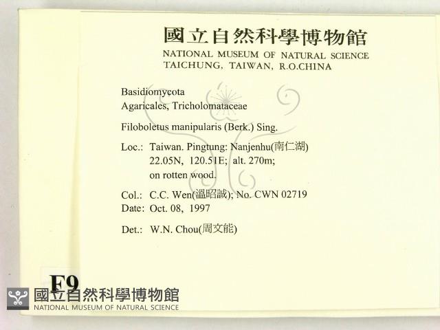 登錄號:F0009725藏品圖，第2張