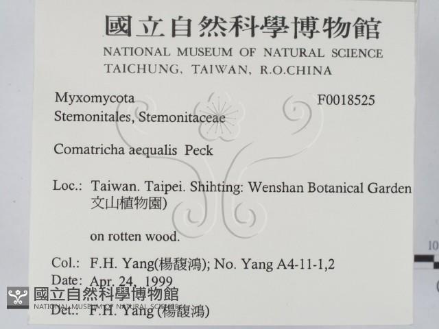 登錄號:F0018525藏品圖，第2張