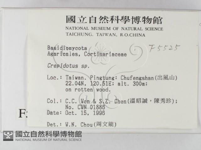 登錄號:F0005525藏品圖，第2張