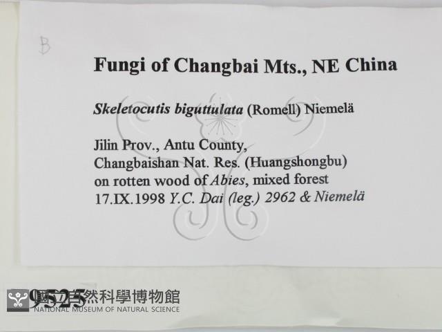 登錄號:F0009525藏品圖，第2張