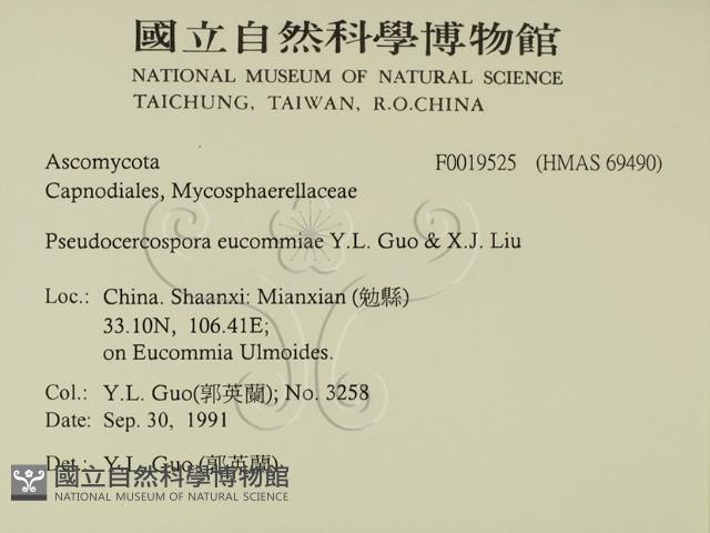 登錄號:F0019525藏品圖，第2張
