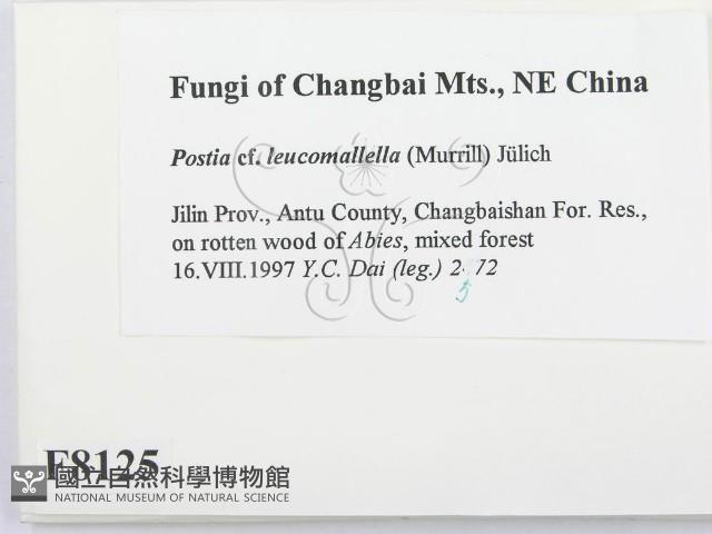 Accession Number:F0008125 Collection Image, Figure 2, Total 4 Figures