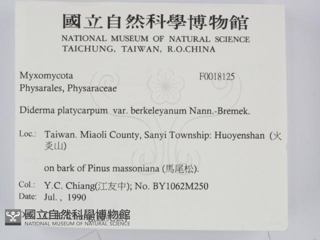 登錄號:F0018125藏品圖，第2張