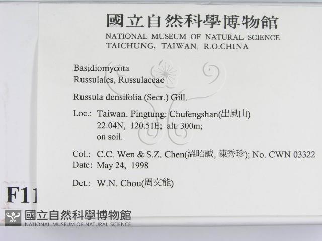 登錄號:F0011125藏品圖，第2張