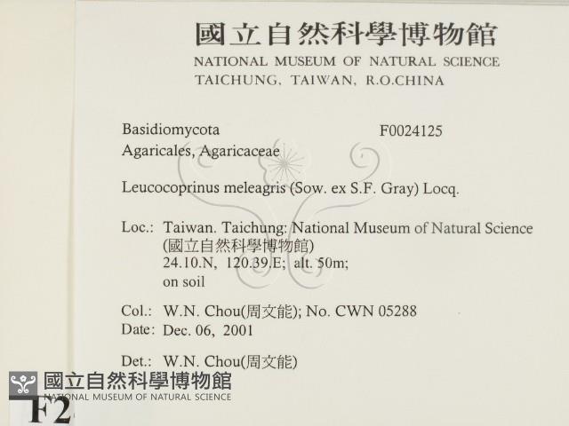 登錄號:F0024125藏品圖，第2張