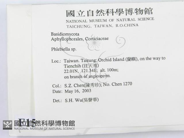 登錄號:F0015125藏品圖，第2張
