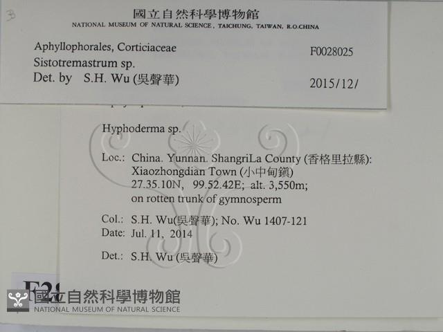 登錄號:F0028025藏品圖，第2張
