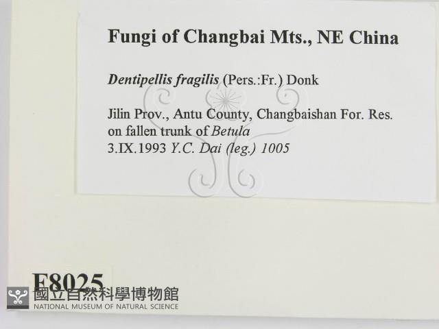 登錄號:F0008025藏品圖，第2張