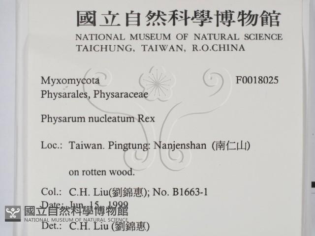 登錄號:F0018025藏品圖，第2張