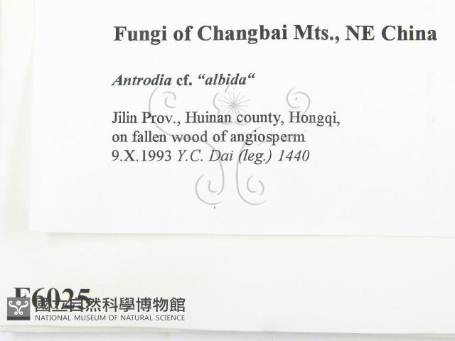 登錄號:F0006025藏品圖，第2張