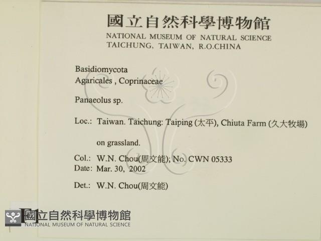 登錄號:F0016025藏品圖，第2張