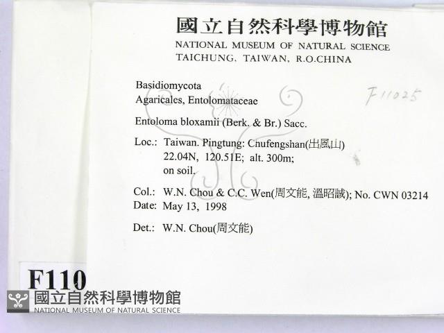 登錄號:F0011025藏品圖，第2張