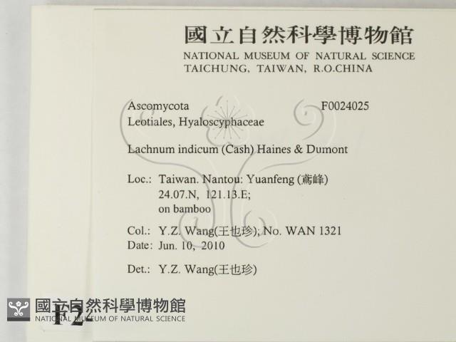 登錄號:F0024025藏品圖，第2張