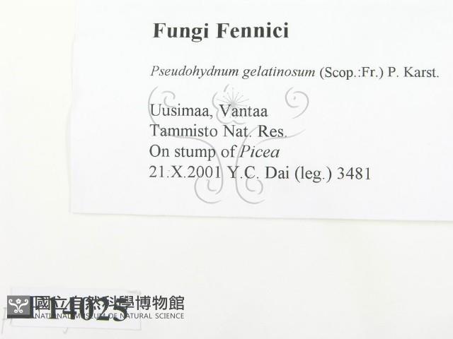 登錄號:F0014025藏品圖，第2張