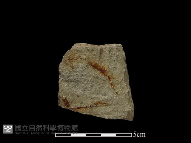 斧鋤形器藏品圖，第2張