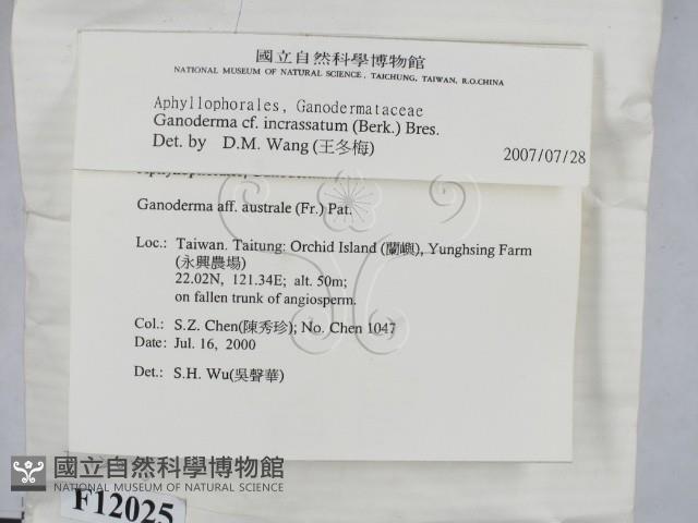 登錄號:F0012025藏品圖，第2張