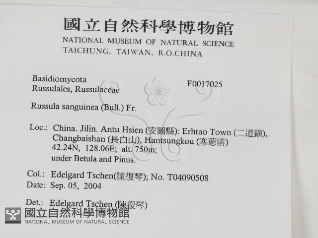 登錄號:F0017025藏品圖，第2張