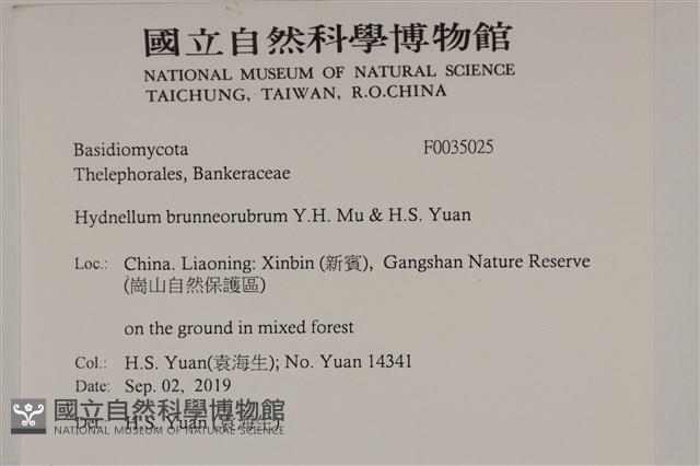 登錄號:F0035025藏品圖，第2張