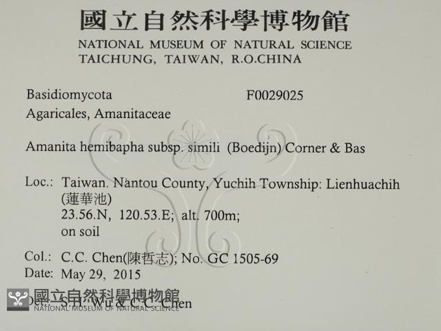 登錄號:F0029025藏品圖，第2張