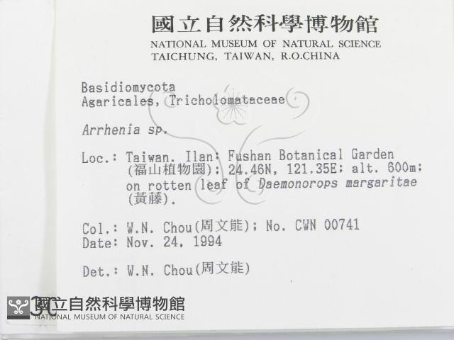 登錄號:F0003025藏品圖，第2張