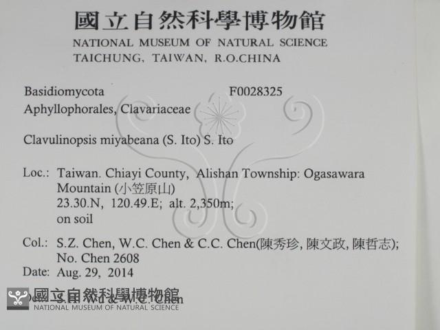 登錄號:F0028325藏品圖，第2張