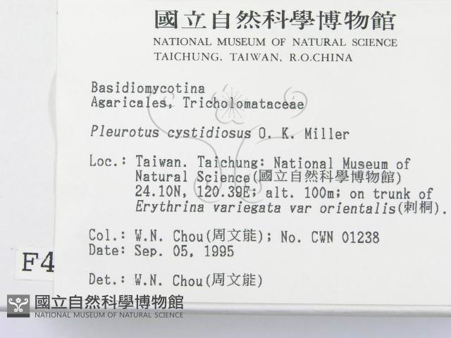 登錄號:F0004325藏品圖，第2張