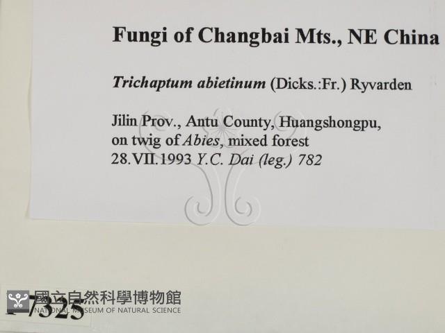 登錄號:F0007325藏品圖，第2張