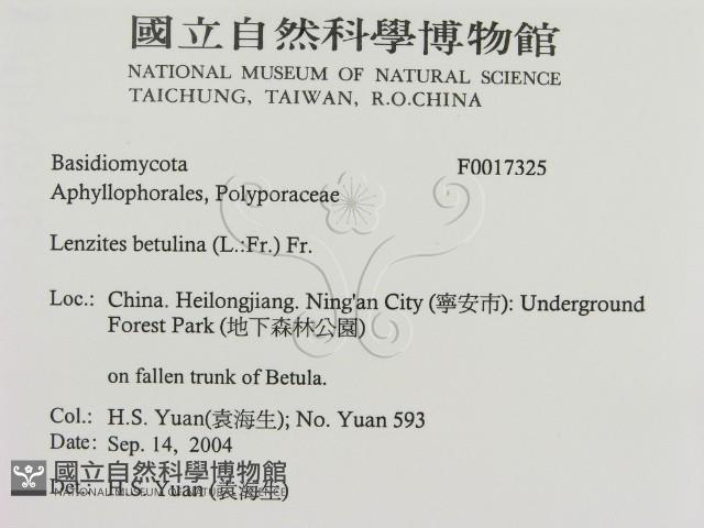 登錄號:F0017325藏品圖，第2張