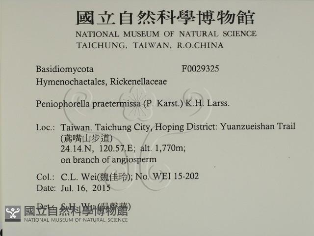 登錄號:F0029325藏品圖，第2張