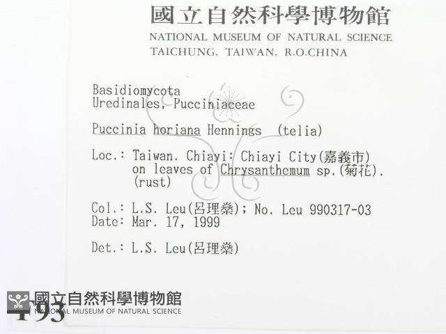 登錄號:F0009325藏品圖，第2張