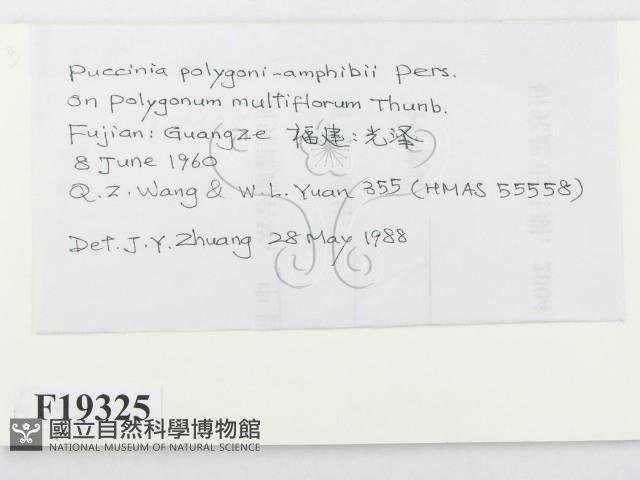 登錄號:F0019325藏品圖，第2張