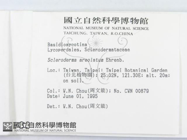 登錄號:F0003325藏品圖，第2張