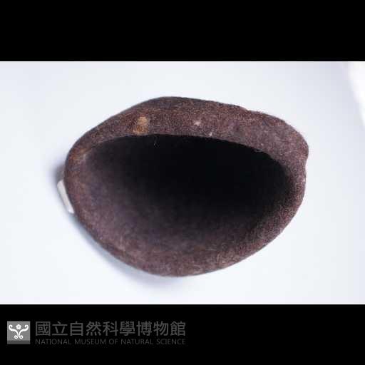 呢帽藏品圖，第2張