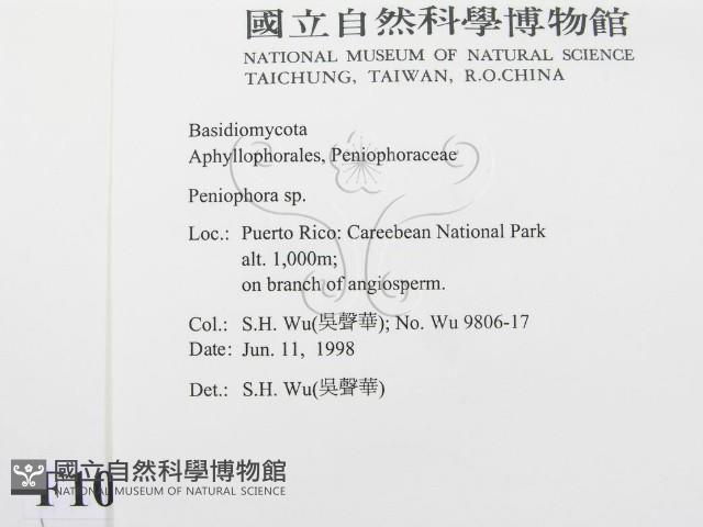筍殼菌屬藏品圖，第2張