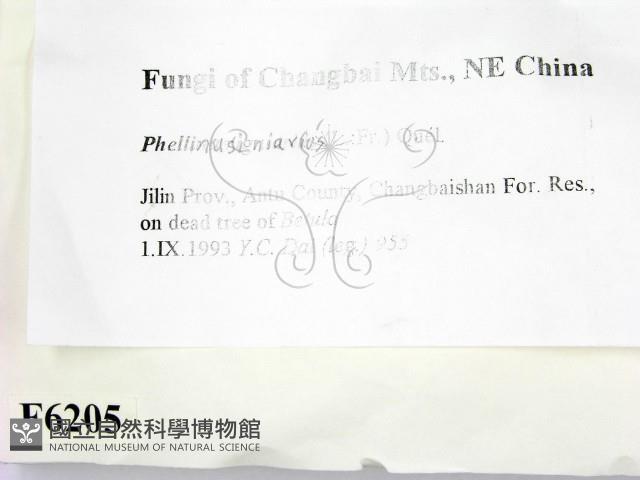 登錄號:F0006205藏品圖，第2張