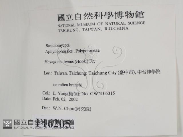 登錄號:F0016205藏品圖，第2張