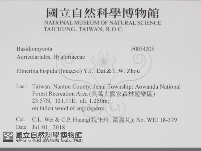 登錄號:F0034205藏品圖，第2張