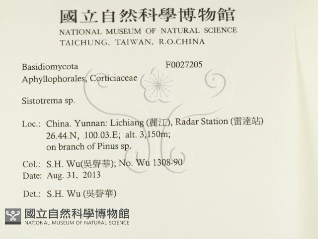 登錄號:F0027205藏品圖，第2張