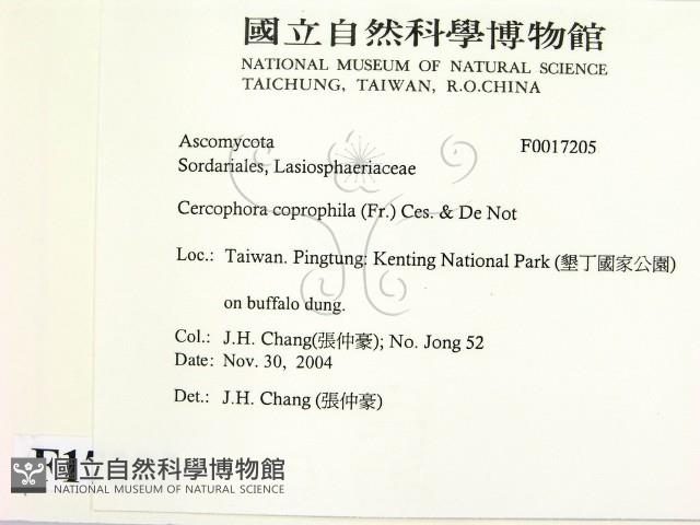 登錄號:F0017205藏品圖，第2張
